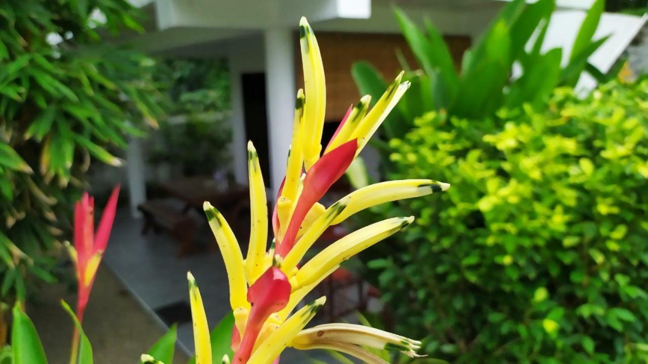 Sunbeam Villa Tangalle Εξωτερικό φωτογραφία